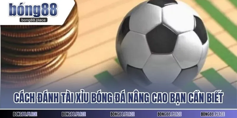 Cách đánh tài xỉu bóng đá nâng cao bạn cần biết