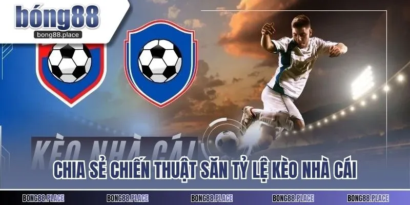 Chia sẻ chiến thuật săn tỷ lệ kèo nhà cái