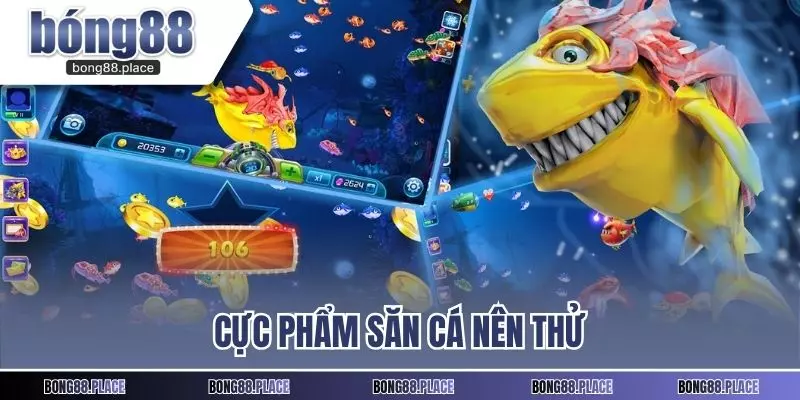 Cực phẩm săn cá nên thử