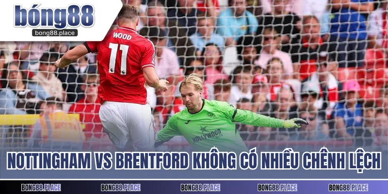 Nottingham vs Brentford không có nhiều chênh lệch