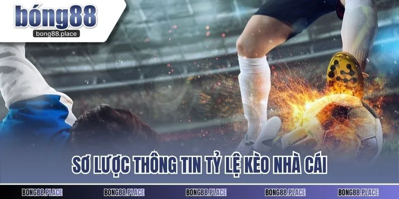 Sơ lược thông tin tỷ lệ kèo nhà cái