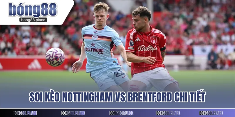 Soi kèo Nottingham vs Brentford chi tiết