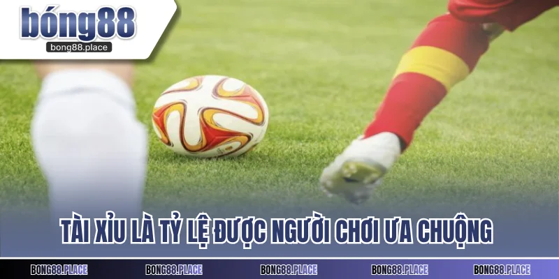 Tài xỉu là tỷ lệ được người chơi ưa chuộng tại kèo nhà cái