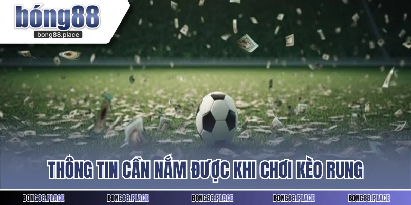 Thông tin cần nắm được khi chơi kèo rung